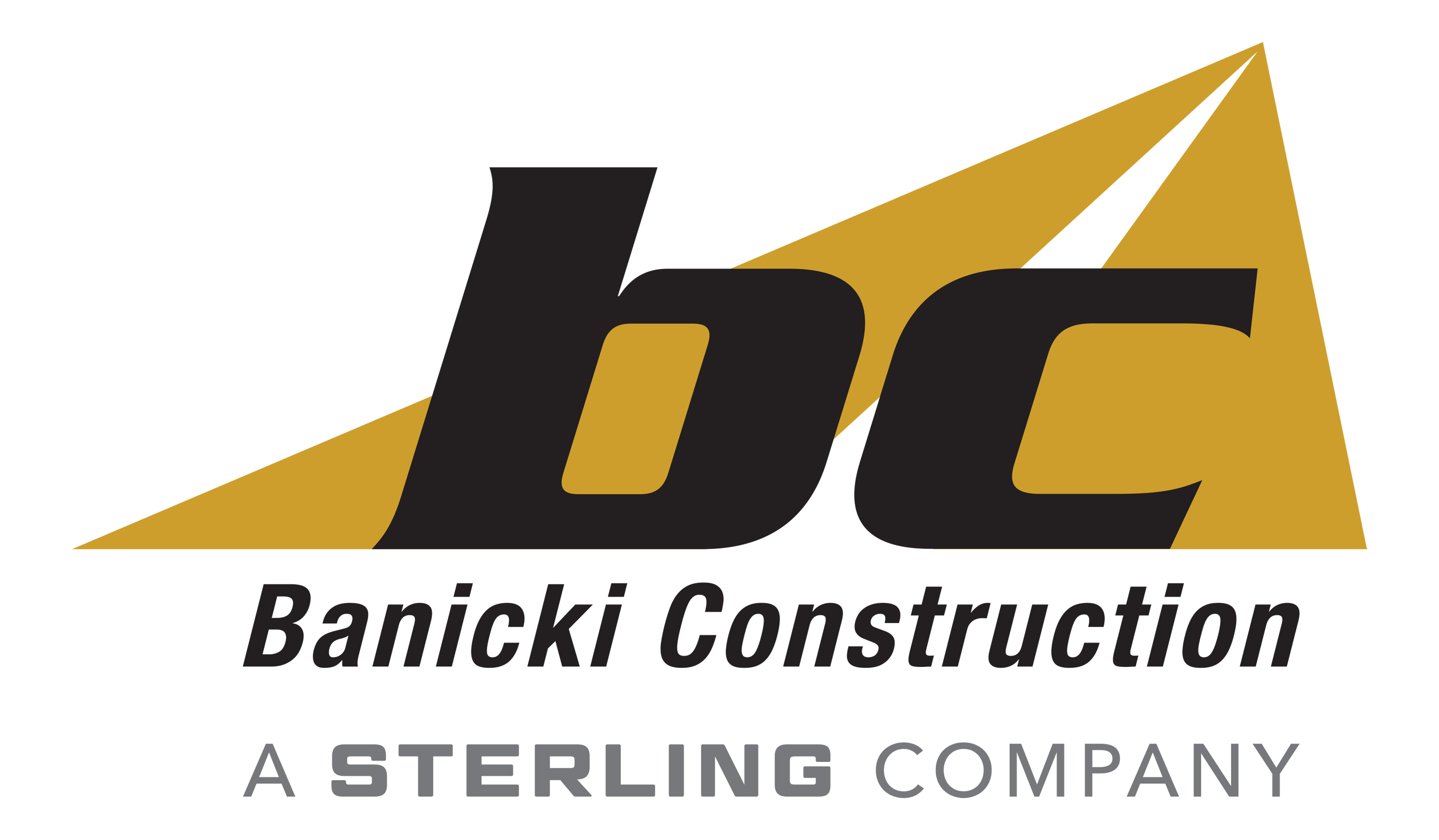 Banicki Construction